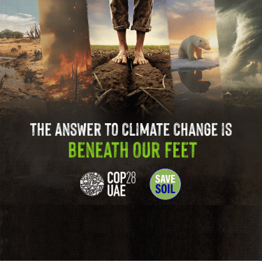 cop28