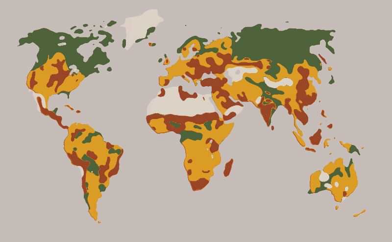Soil desertification
