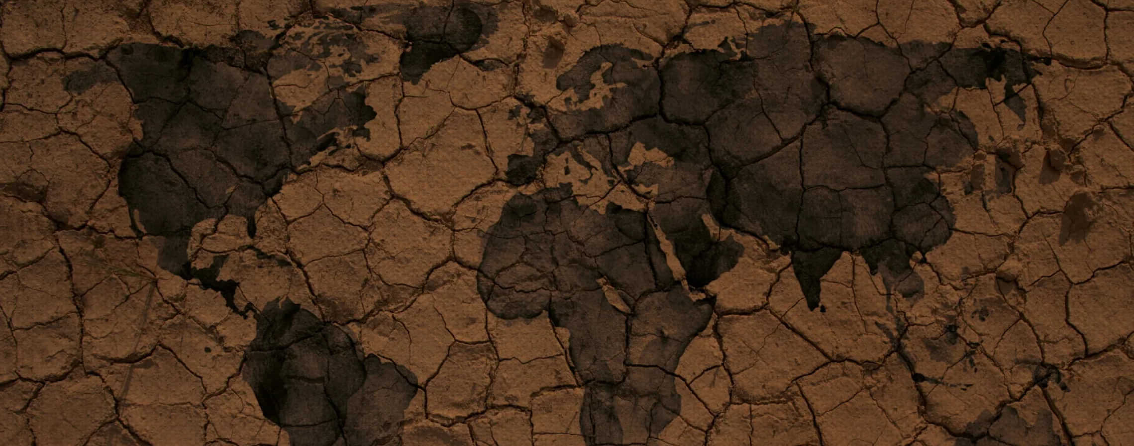 soil