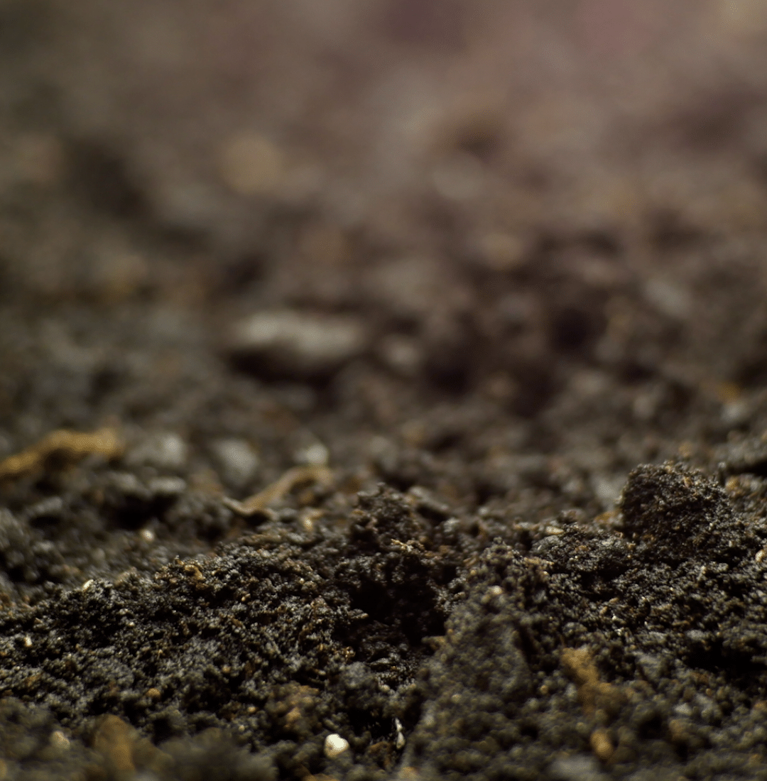 Header-Banner